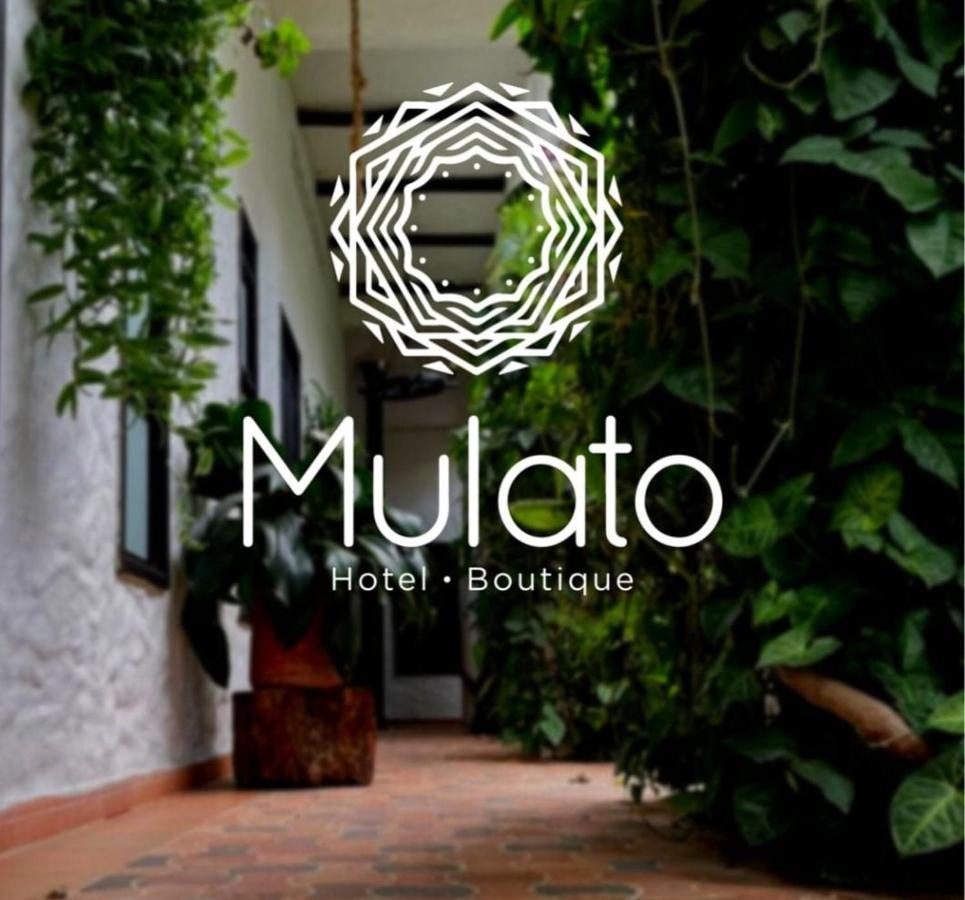 Hotel Mulato El Colegio  Exterior photo